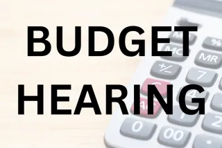 Budget Graphic