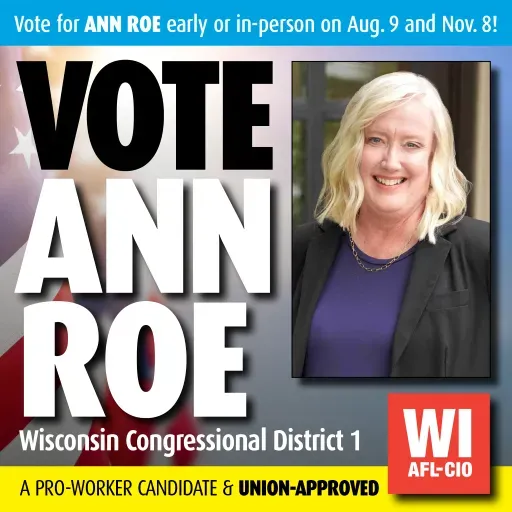 Vote Ann Roe